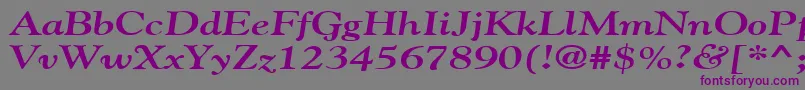 フォントGildebroadBoldItalic – 紫色のフォント、灰色の背景