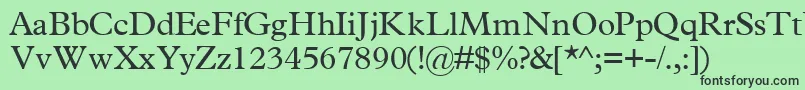 TerminussskRegular Font – Black Fonts on Green Background