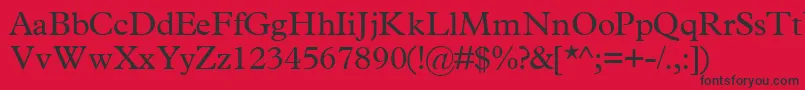 TerminussskRegular Font – Black Fonts on Red Background