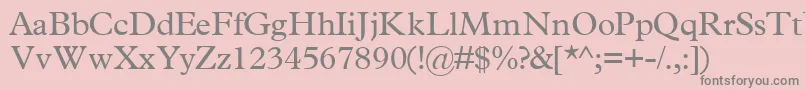 TerminussskRegular Font – Gray Fonts on Pink Background