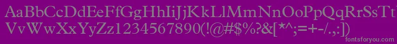 TerminussskRegular Font – Gray Fonts on Purple Background