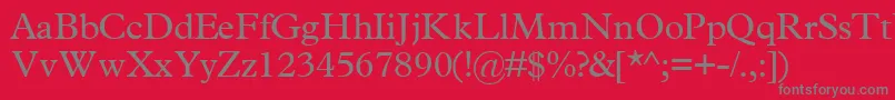フォントTerminussskRegular – 赤い背景に灰色の文字