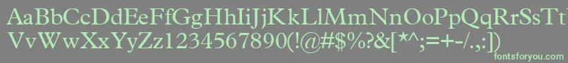 TerminussskRegular Font – Green Fonts on Gray Background