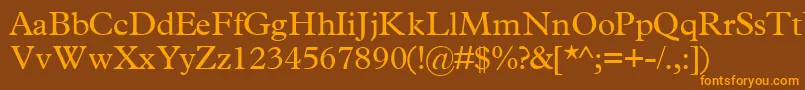 TerminussskRegular Font – Orange Fonts on Brown Background