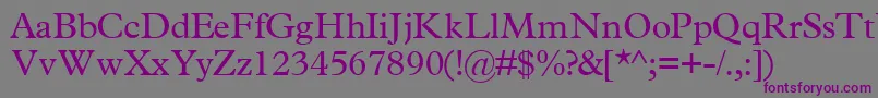 TerminussskRegular Font – Purple Fonts on Gray Background