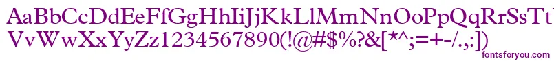 TerminussskRegular Font – Purple Fonts