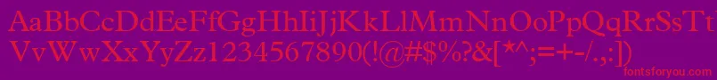 TerminussskRegular Font – Red Fonts on Purple Background
