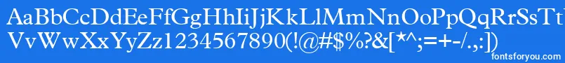 TerminussskRegular Font – White Fonts on Blue Background