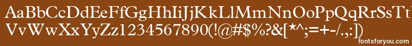 TerminussskRegular Font – White Fonts on Brown Background