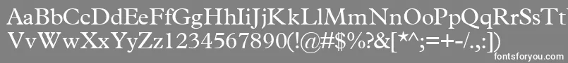 TerminussskRegular Font – White Fonts on Gray Background
