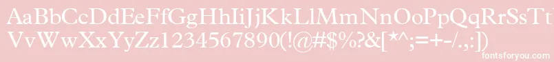 TerminussskRegular Font – White Fonts on Pink Background