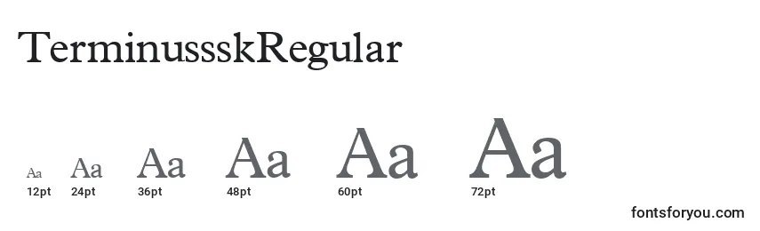 TerminussskRegular Font Sizes