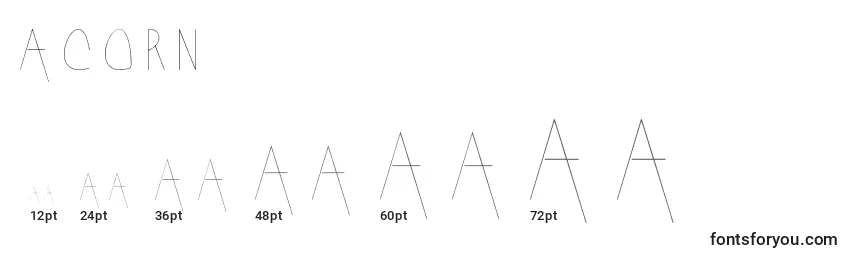 Размеры шрифта Acorn