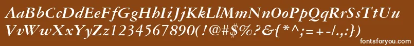GaramondRepriseSsiBoldItalic Font – White Fonts on Brown Background
