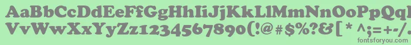 CooperBlackCyrillic Font – Gray Fonts on Green Background