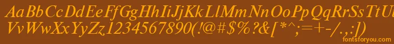 NewtoncItalic Font – Orange Fonts on Brown Background