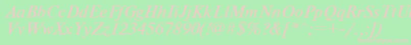 NewtoncItalic Font – Pink Fonts on Green Background