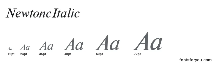 Размеры шрифта NewtoncItalic