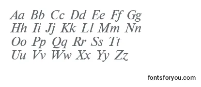 NewtoncItalic Font