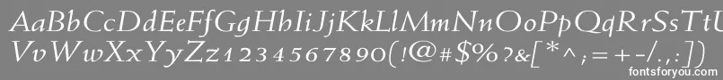 フォントWeissItalicWd – 灰色の背景に白い文字