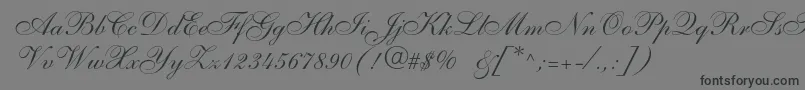 Anastasiascriptc Font – Black Fonts on Gray Background