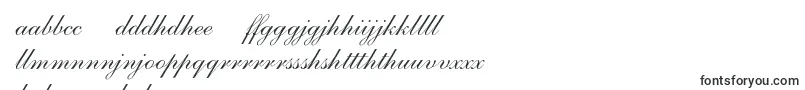 Anastasiascriptc Font – Nyanja Fonts