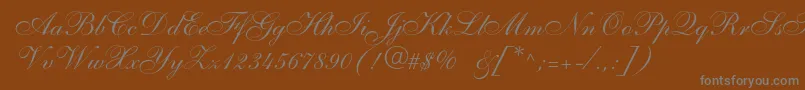 Anastasiascriptc-fontti – harmaat kirjasimet ruskealla taustalla