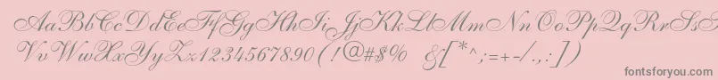 Fonte Anastasiascriptc – fontes cinzas em um fundo rosa