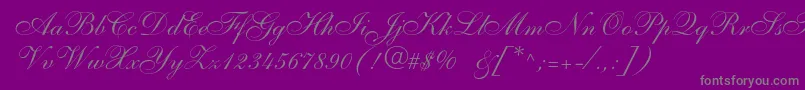 Шрифт Anastasiascriptc – серые шрифты на фиолетовом фоне