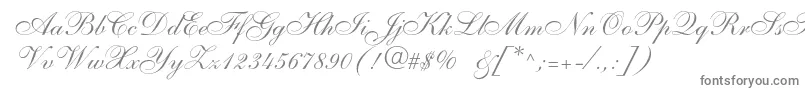 フォントAnastasiascriptc – 白い背景に灰色の文字