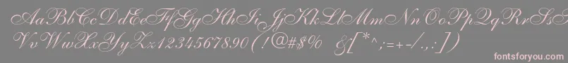 Anastasiascriptc-Schriftart – Rosa Schriften auf grauem Hintergrund