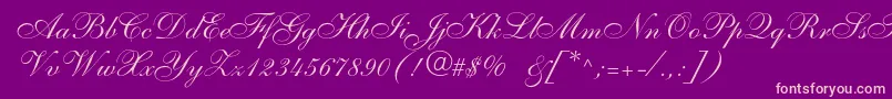 Anastasiascriptc Font – Pink Fonts on Purple Background