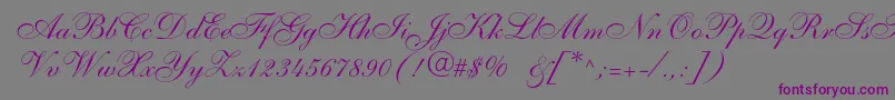 Anastasiascriptc-fontti – violetit fontit harmaalla taustalla