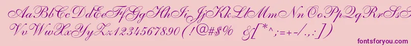 Anastasiascriptc Font – Purple Fonts on Pink Background