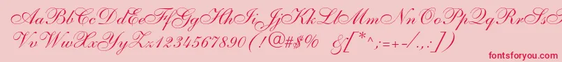 Anastasiascriptc Font – Red Fonts on Pink Background