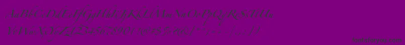 Zapfinoforteltpro Font – Black Fonts on Purple Background