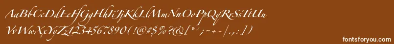 Zapfinoforteltpro-Schriftart – Weiße Schriften auf braunem Hintergrund
