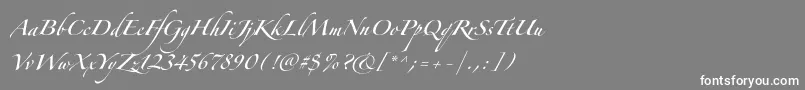 フォントZapfinoforteltpro – 灰色の背景に白い文字