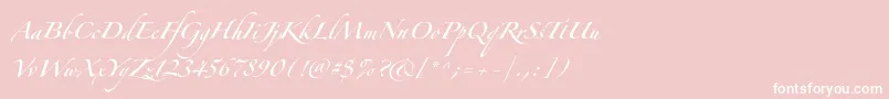 Zapfinoforteltpro Font – White Fonts on Pink Background