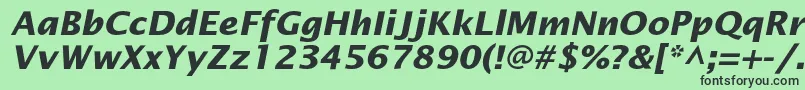 OfficetypesansBoldItalic Font – Black Fonts on Green Background