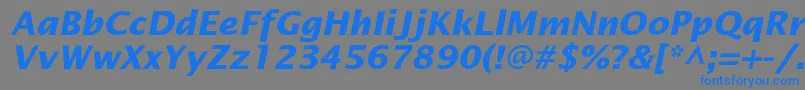 OfficetypesansBoldItalic Font – Blue Fonts on Gray Background