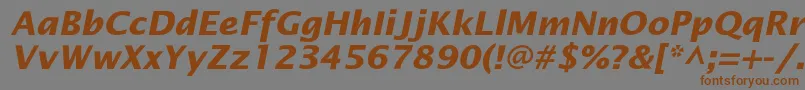 Czcionka OfficetypesansBoldItalic – brązowe czcionki na szarym tle