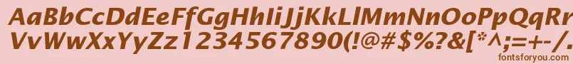 OfficetypesansBoldItalic Font – Brown Fonts on Pink Background