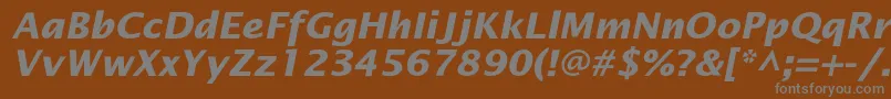 フォントOfficetypesansBoldItalic – 茶色の背景に灰色の文字