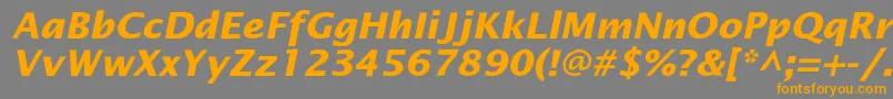 Police OfficetypesansBoldItalic – polices orange sur fond gris