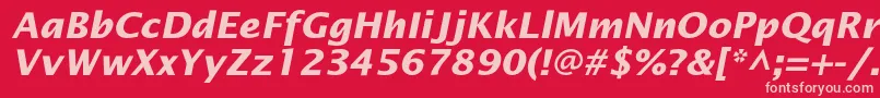 OfficetypesansBoldItalic Font – Pink Fonts on Red Background
