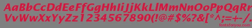 OfficetypesansBoldItalic Font – Red Fonts on Gray Background