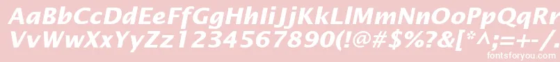 OfficetypesansBoldItalic Font – White Fonts on Pink Background