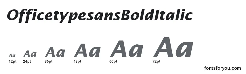 Размеры шрифта OfficetypesansBoldItalic