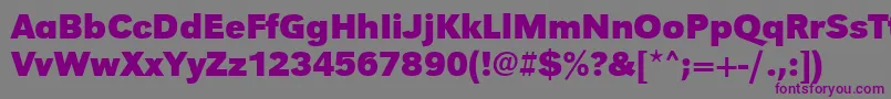 UrwgrotesktBold Font – Purple Fonts on Gray Background